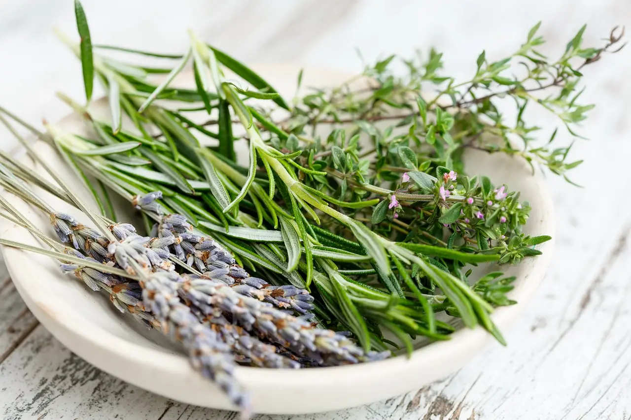 Cassetti che odorano di chiuso: ecco il trucco naturale che li profuma per giorni Cassetti che odorano di chiuso: ecco il trucco naturale che li profuma per giorni