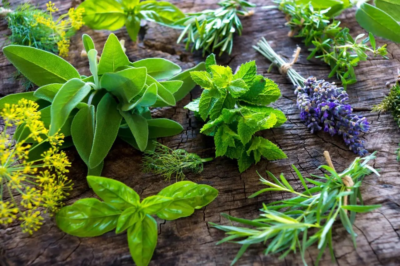 Cassetti che odorano di chiuso: ecco il trucco naturale che li profuma per giorni Cassetti che odorano di chiuso: ecco il trucco naturale che li profuma per giorni