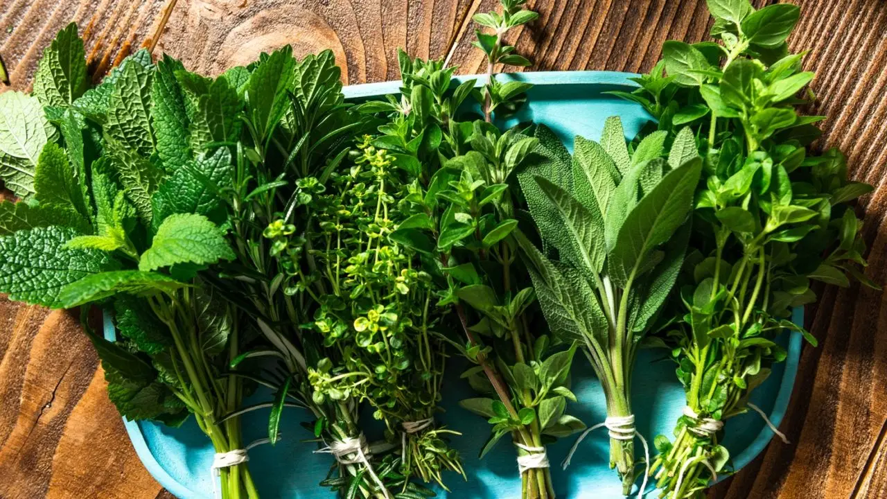 Cassetti che odorano di chiuso: ecco il trucco naturale che li profuma per giorni Cassetti che odorano di chiuso: ecco il trucco naturale che li profuma per giorni