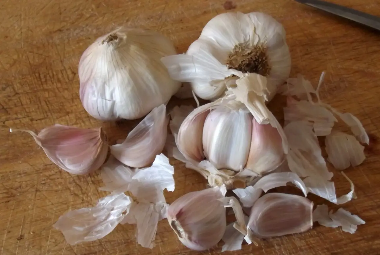 Rose senza afidi: il decotto d’aglio che sostituisce i pesticidi Rose senza afidi: il decotto d’aglio che sostituisce i pesticidi