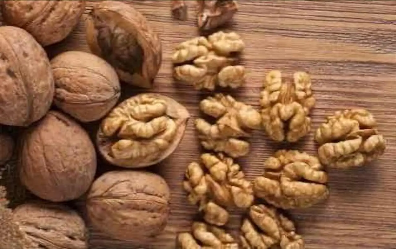 Mangiare le noci ogni giorno: ecco le conseguenze Mangiare le noci ogni giorno: ecco le conseguenze
