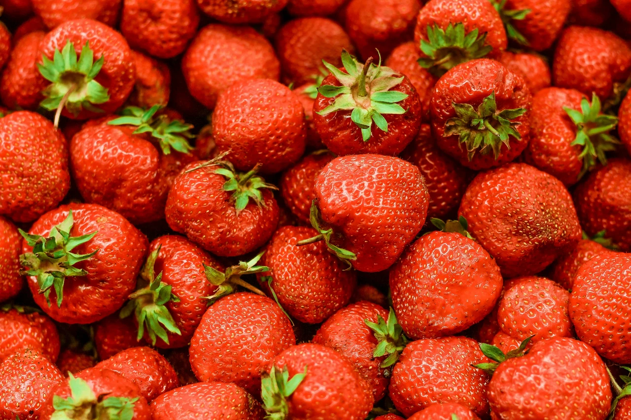 Fragole più dolci e senza muffa: il trucco della sabbia fine Fragole più dolci e senza muffa: il trucco della sabbia fine