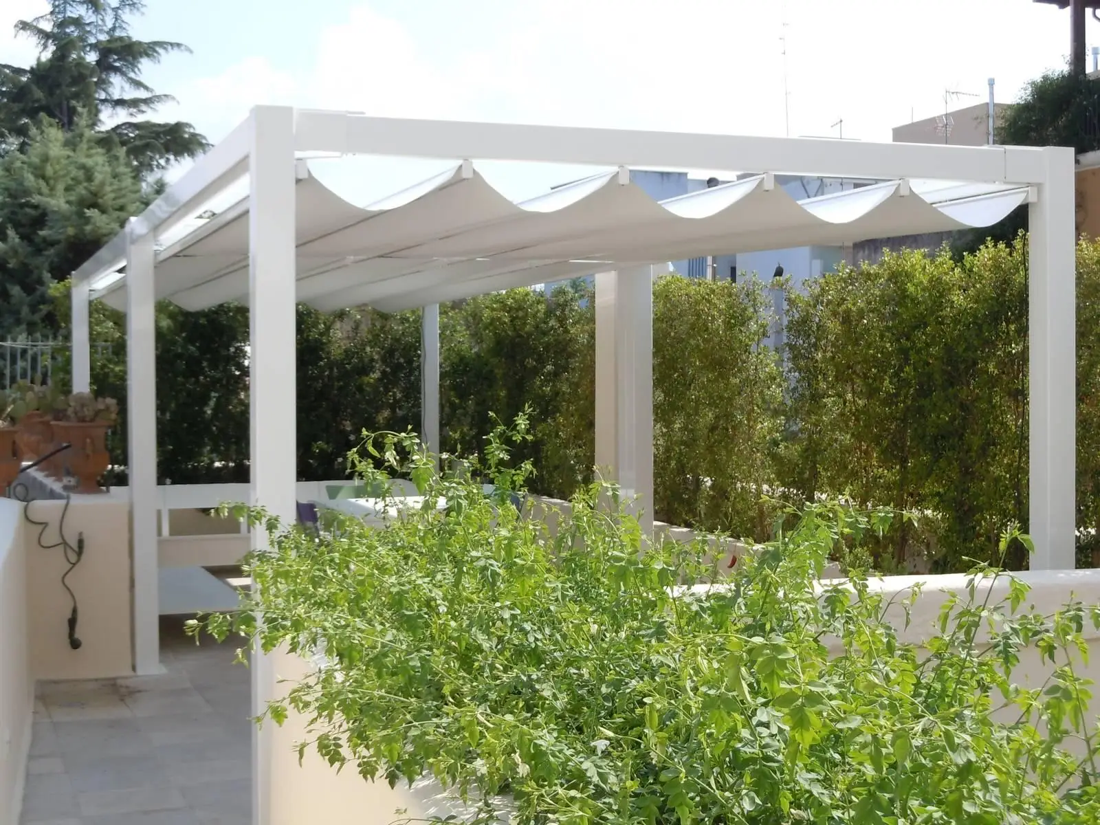 Creare un angolo ombreggiato in terrazza: le tende naturali con rampicanti veloci Creare un angolo ombreggiato in terrazza: le tende naturali con rampicanti veloci