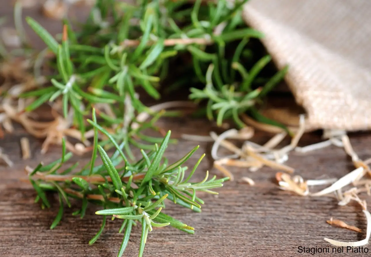 Questa pianta aromatica autunnale sta rivoluzionando la qualità del riposo notturno Questa pianta aromatica autunnale sta rivoluzionando la qualità del riposo notturno